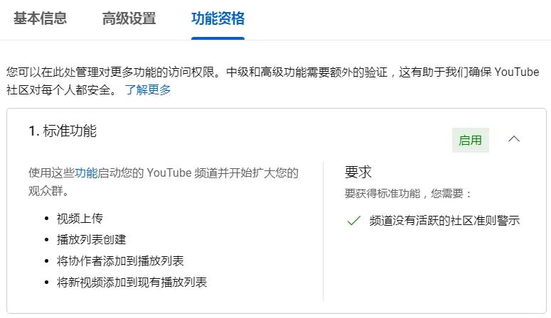 YouTube标准功能启用